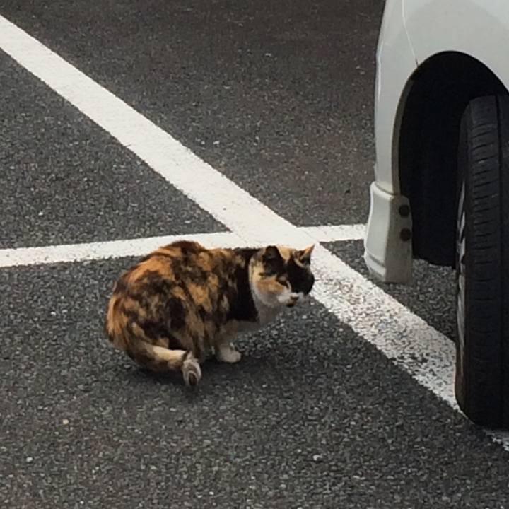 0be5dc67 6f91 476b bea4 02350d1c8b0b