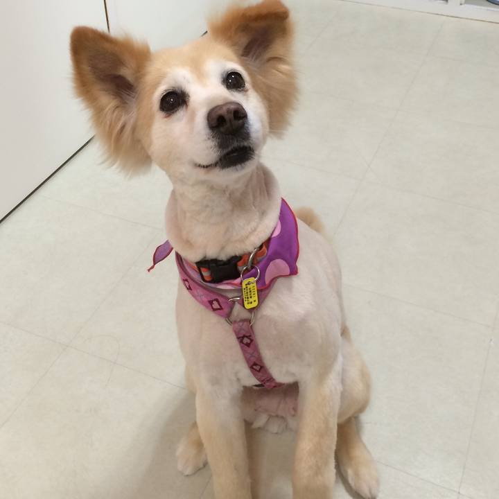 0be6114a 2482 4c6b 89af 5ac03cfd3c12