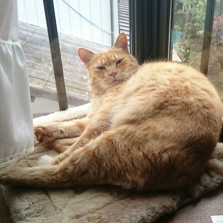 0be73227 3ee2 40d6 adb5 f678b6129a46