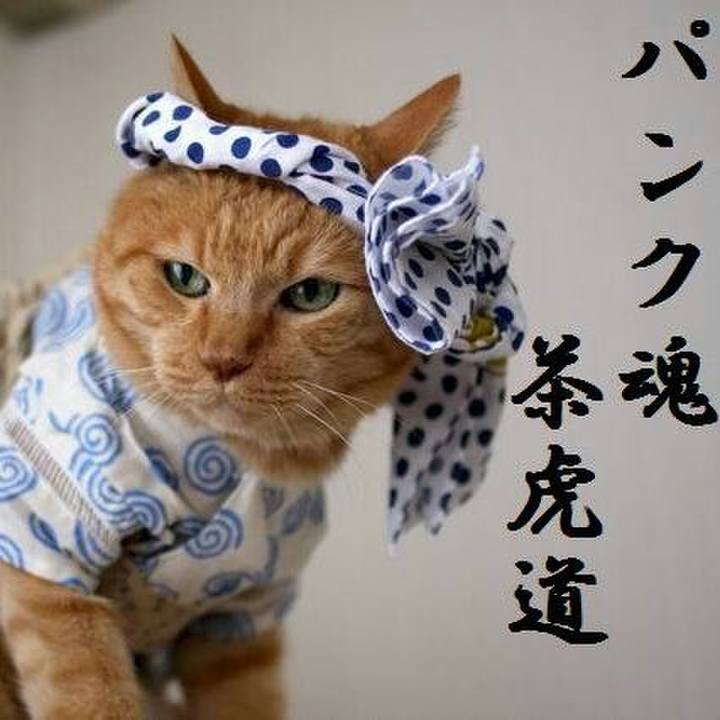 0be748f5 a494 4e2b aeac 44da63c8f12c