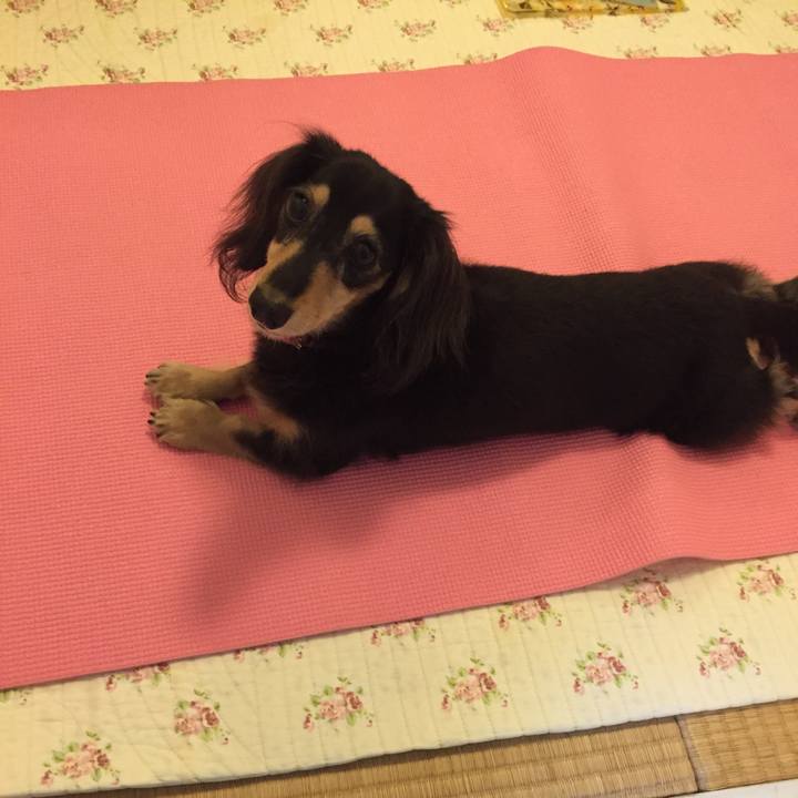 0be773f7 0f1d 4ec1 afe9 08847a411e4a