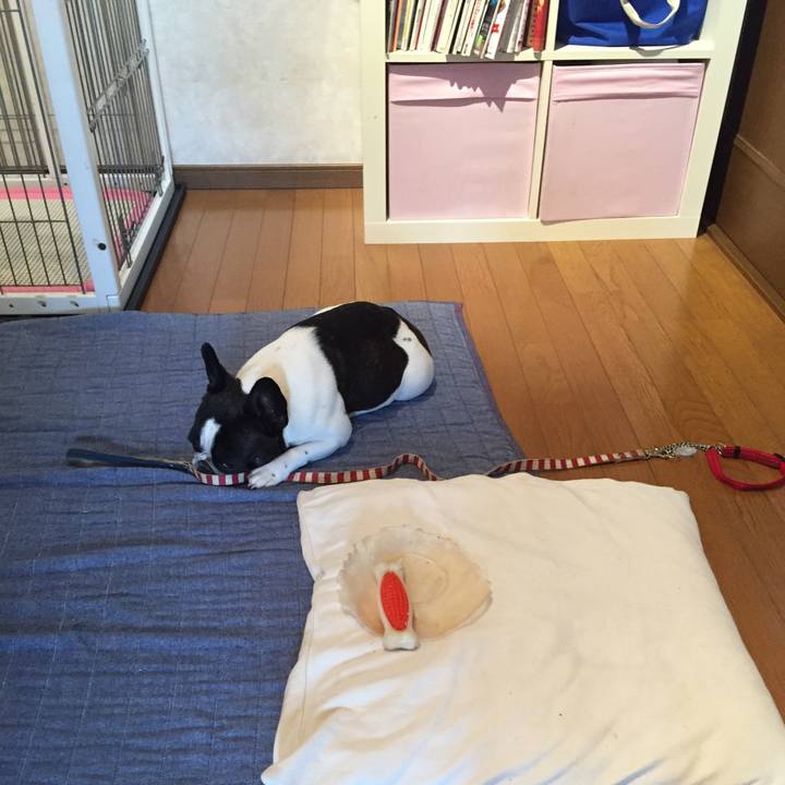 0be7bb8c d56e 4261 91c4 c3d494b55f26