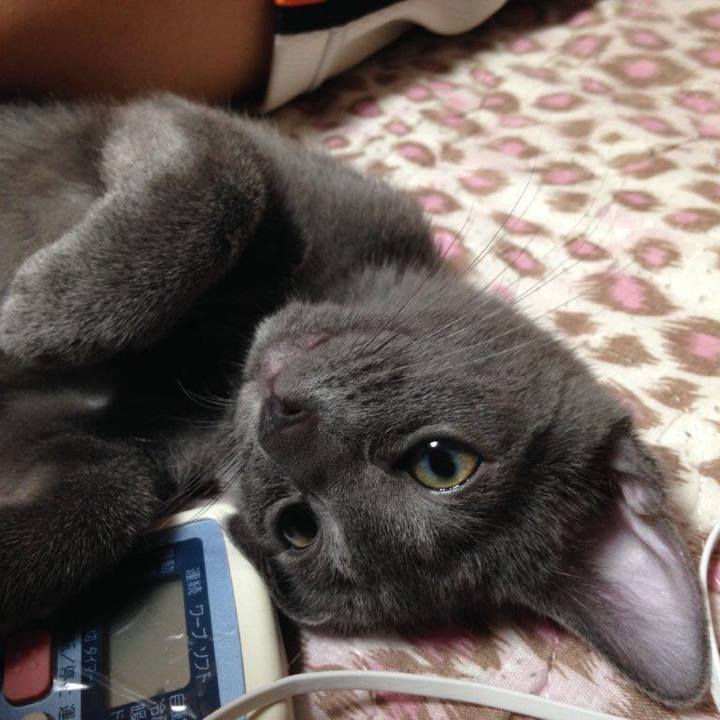 0be7bef7 73c3 4420 a14b bc20faf180f0