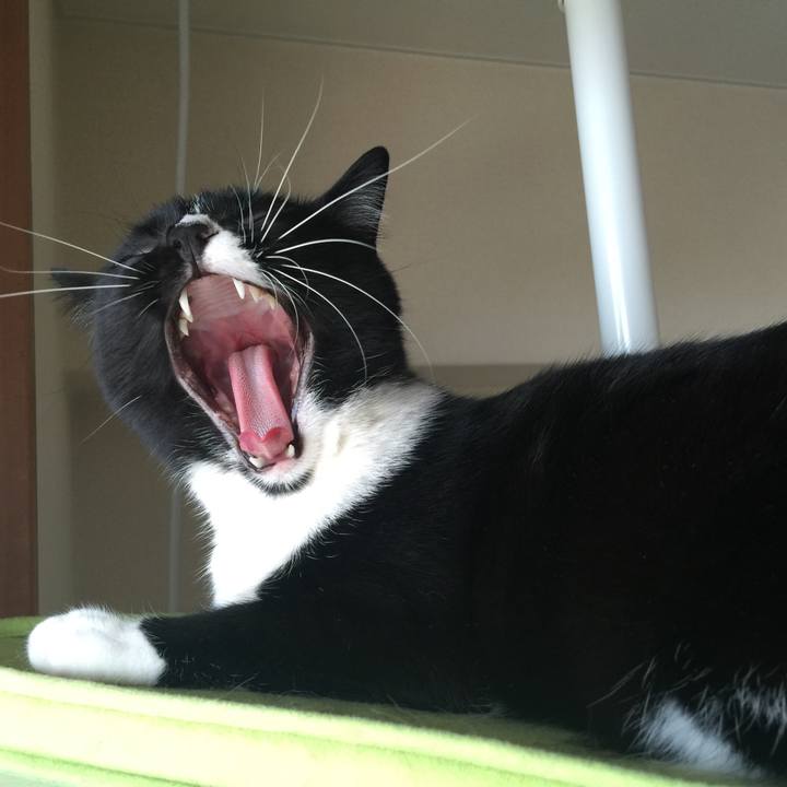 0be884cd 3727 4dd9 b560 cd1ee3875d73