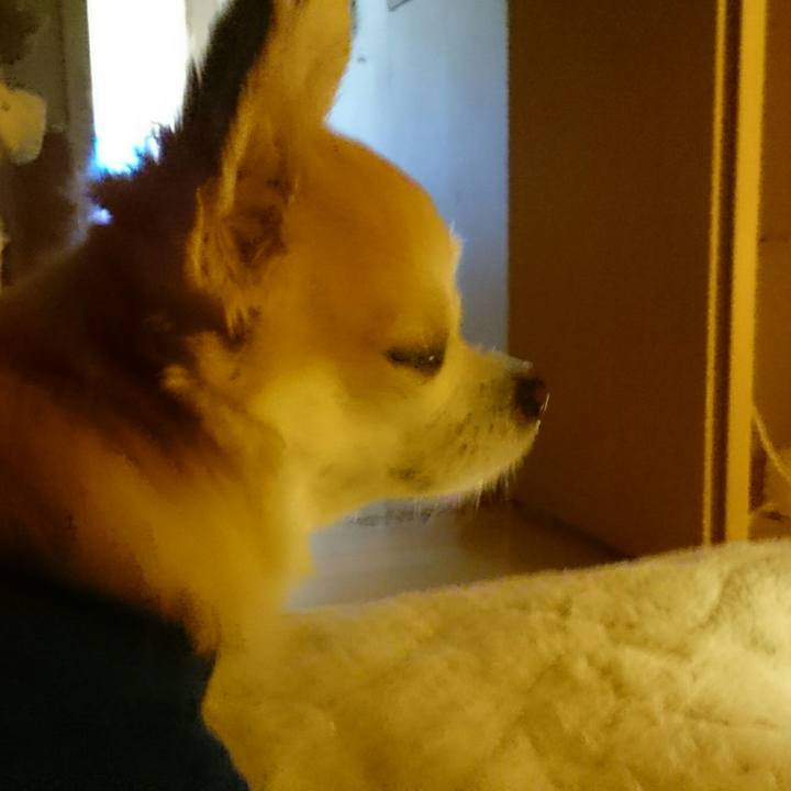 0be8a7b3 ca69 47b8 ad1d 93e871bf4eb3