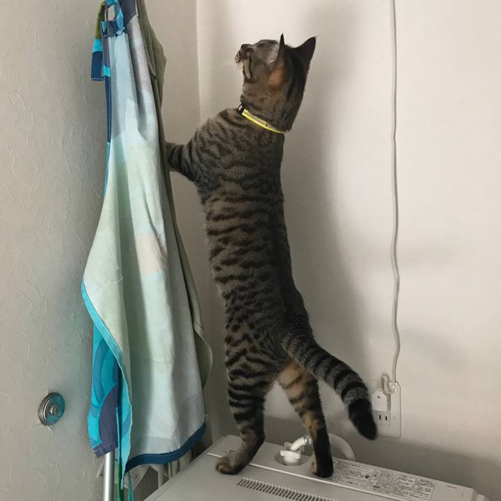 0be95c83 abb9 45b7 8b70 8c24776ac90f