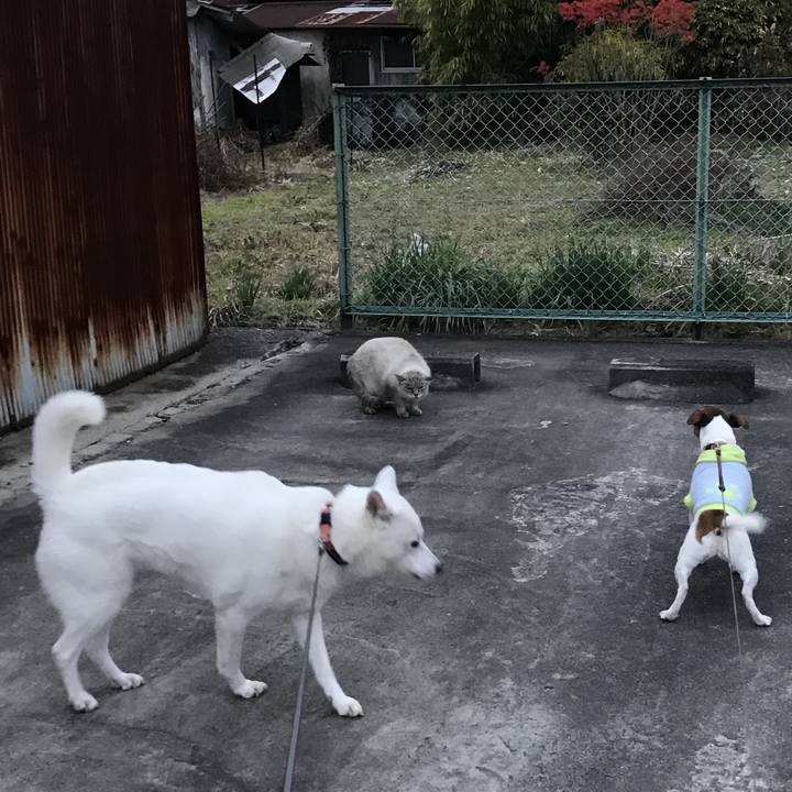 0be98857 ea29 424b a242 bb2786f88486