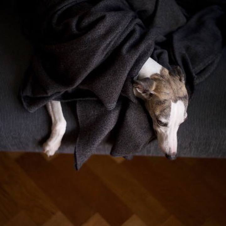 0be9c118 b706 4098 b939 f2e3f19ede56