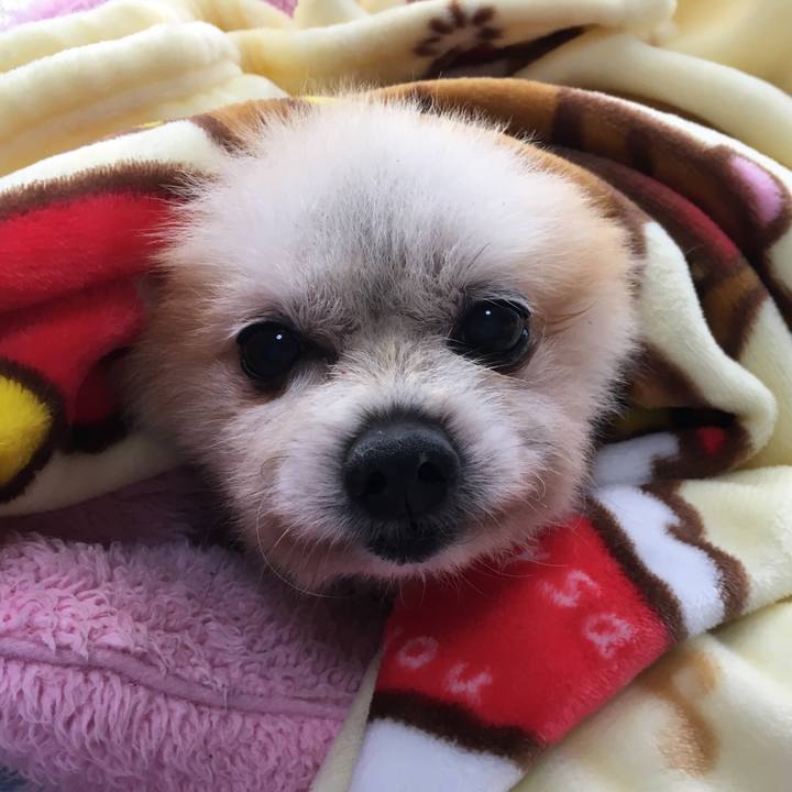 0bea7600 daa2 45fe a40d 33f0e0197951