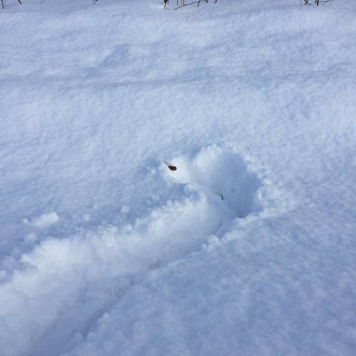 0bea7a03 86b2 4688 93e5 03647f3c2d03