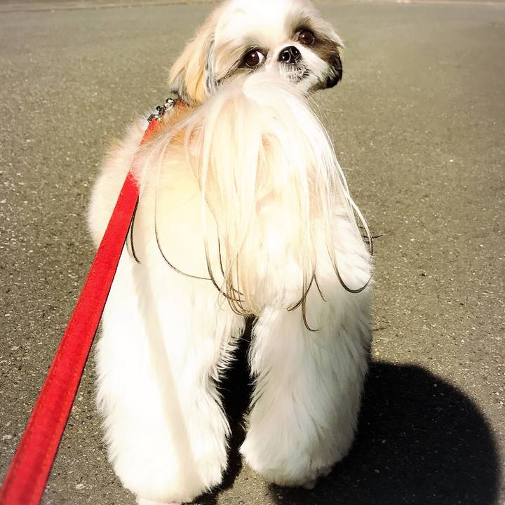 0bea8ad5 ab0e 4c4b 8809 a28d649691cb