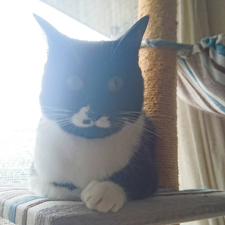 0beb16ce 2f35 407e bec2 d5877295ce2b