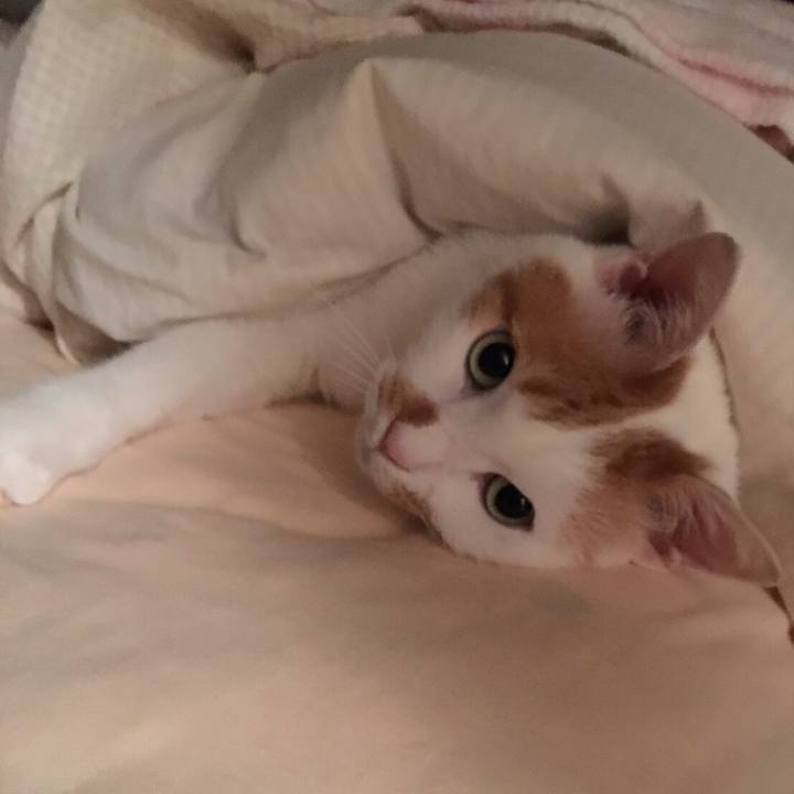 0beb53b2 9dfc 4a66 b2d3 0fef090de969