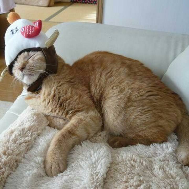 0beb67d4 5c8c 4c86 9315 2725deb0c6a5