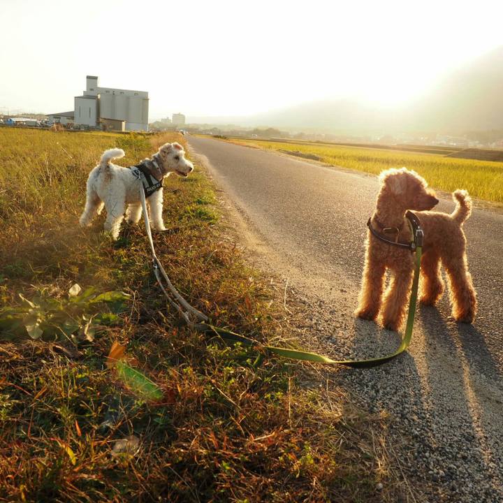 0beb945e e84c 4d06 805c bc123ee56d4f