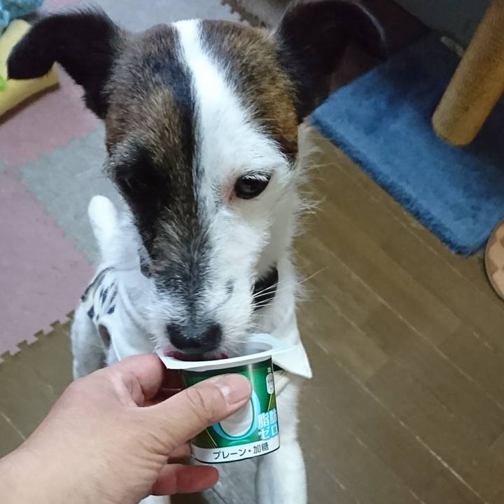 0beb980e 59fc 442f 8181 9db204b02852