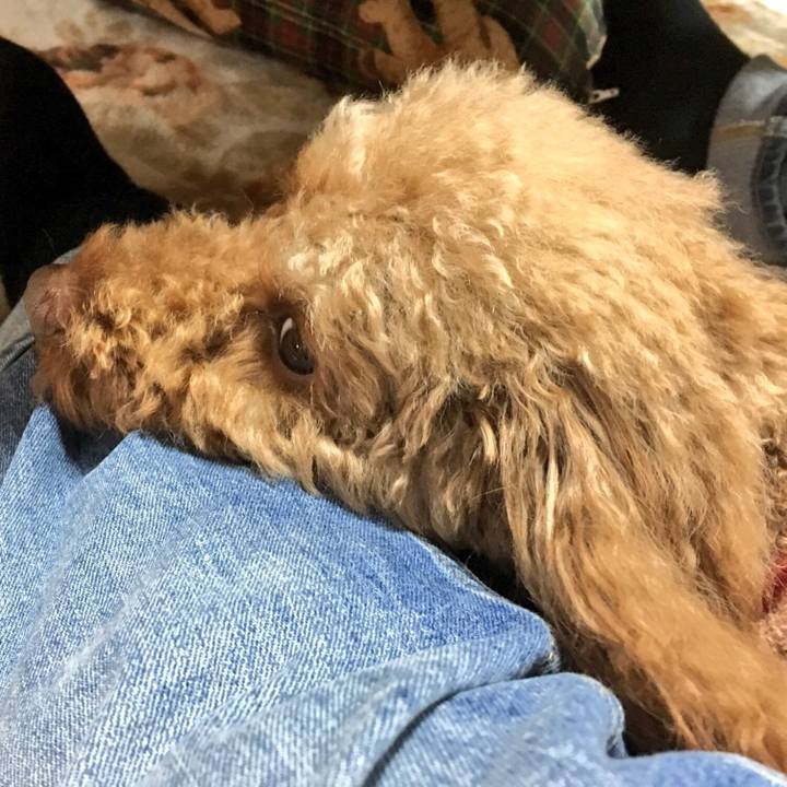 0bebb2f3 912b 4d5f a3c3 c89d5cee4449