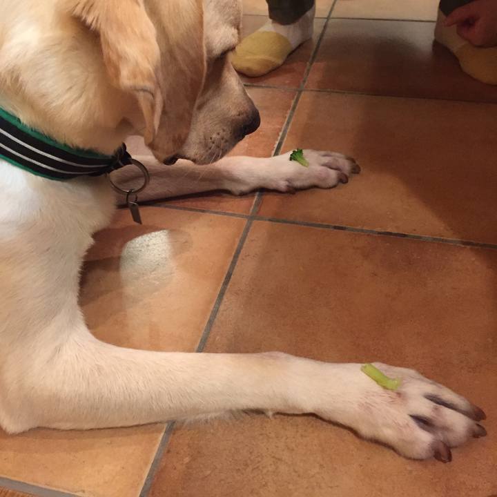 0bebd5db 6867 430e bc46 a0160bc393dc