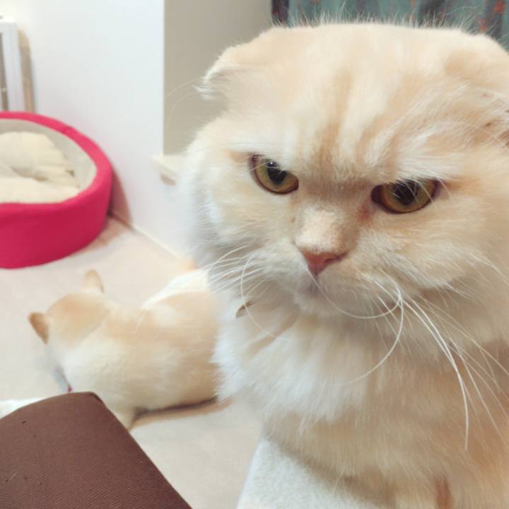 0bebf925 6f9e 4a74 9404 c83d86daaf45