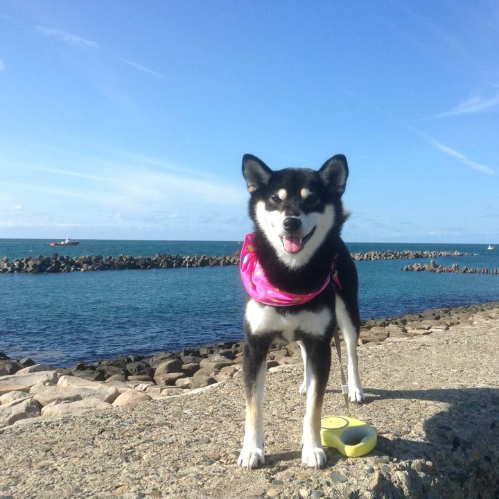 0bec0342 3b86 4cb4 94d4 aee8fc780c45