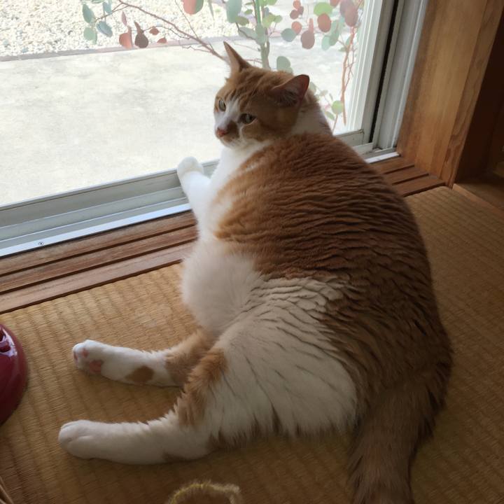 0bec334a f624 4f6b 8e40 af44e55bdb8c