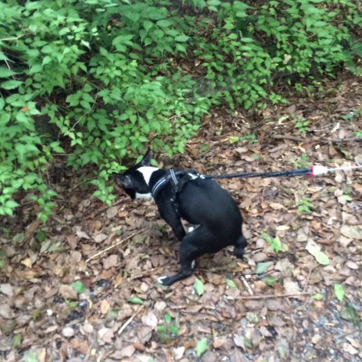 0bec586a 3b0f 43fa 9eeb f92c667d154d