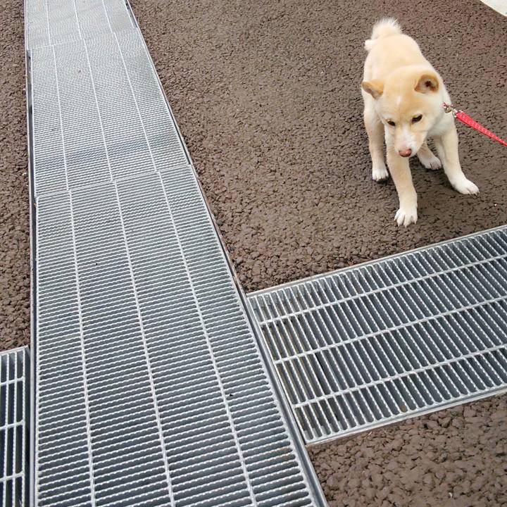 0becb4b5 0444 4c0b 88fd 799a3fbfab7c