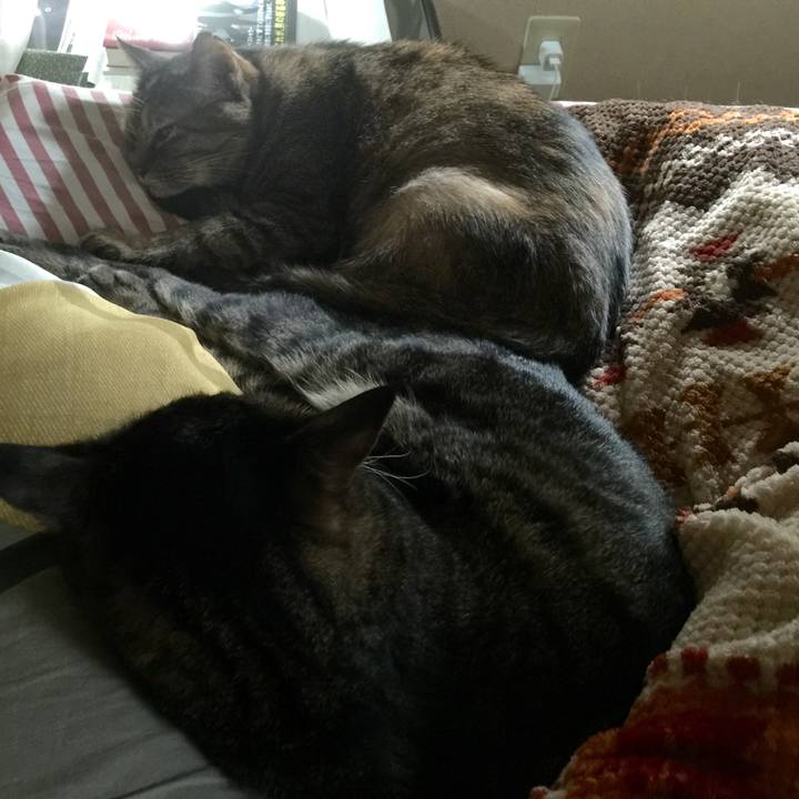 0bece0e7 0b94 44bc b08e 07bee9f767a7