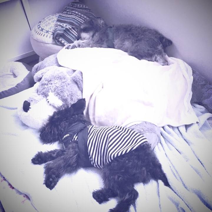 0bed666a f6f4 4348 8d60 b3295355254d