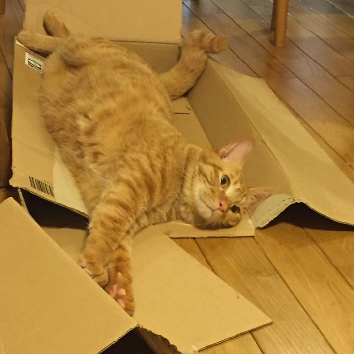 0bef2569 ceca 40ab bbb1 1fdebe27e85b