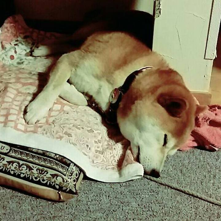 0bef6381 1ae8 49a1 85d4 74c6610ab29e