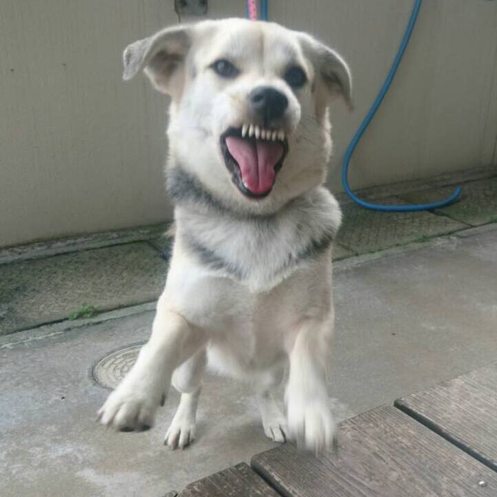 0befc753 a3df 4090 a1e6 6cc428e6def8