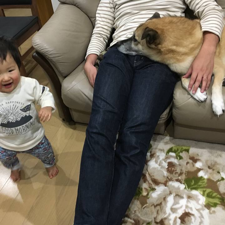 0bf03e15 eb55 454f aaa4 1225b5471598