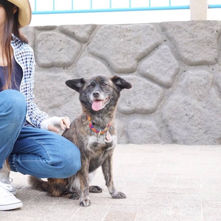 0bf06e15 461e 4b71 a591 d32a202ea3eb