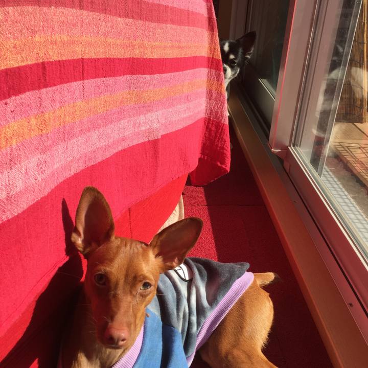 0bf084e0 86b5 43c1 8350 006bfb651715