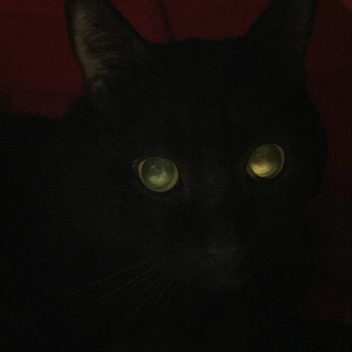 0bf08d5c 75bb 45a2 a4a0 3af2731128a5