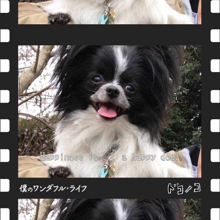 0bf0997a a126 4280 a356 e4ab8ce8422f