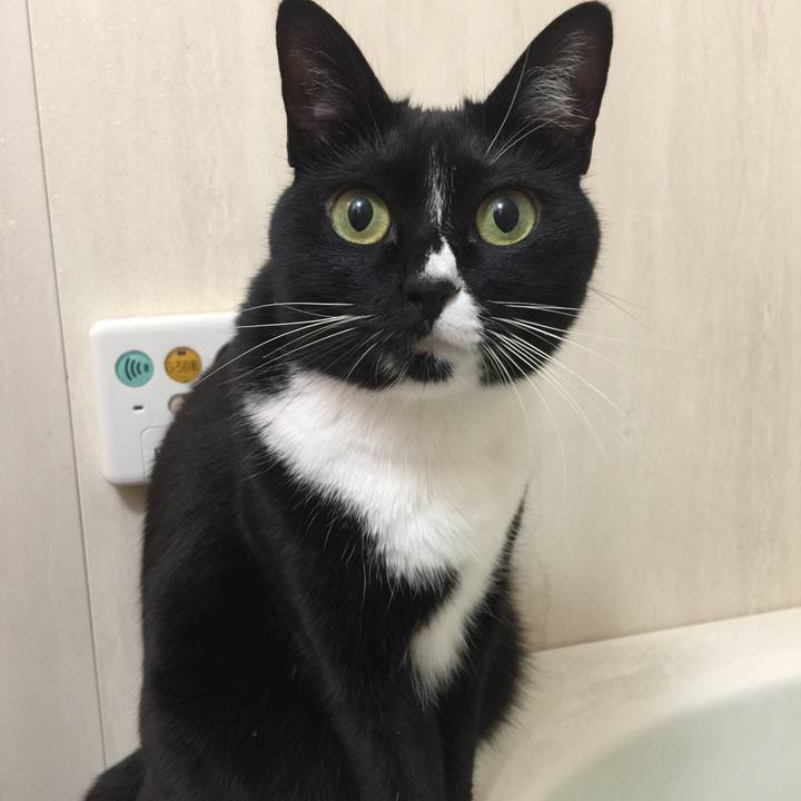 0bf0a142 894f 4b81 ac58 b34e5592918c