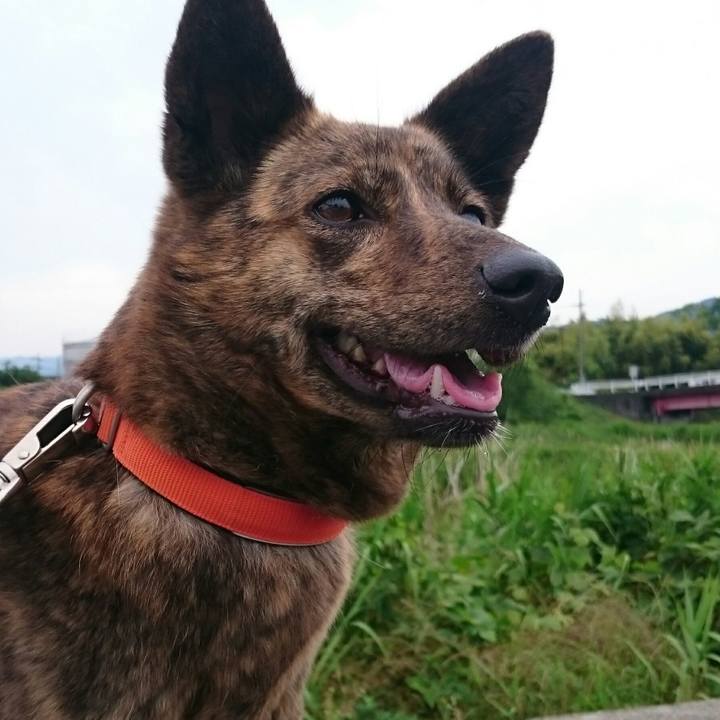 0bf0a265 66b0 4938 9d2d 4abe1778cba6