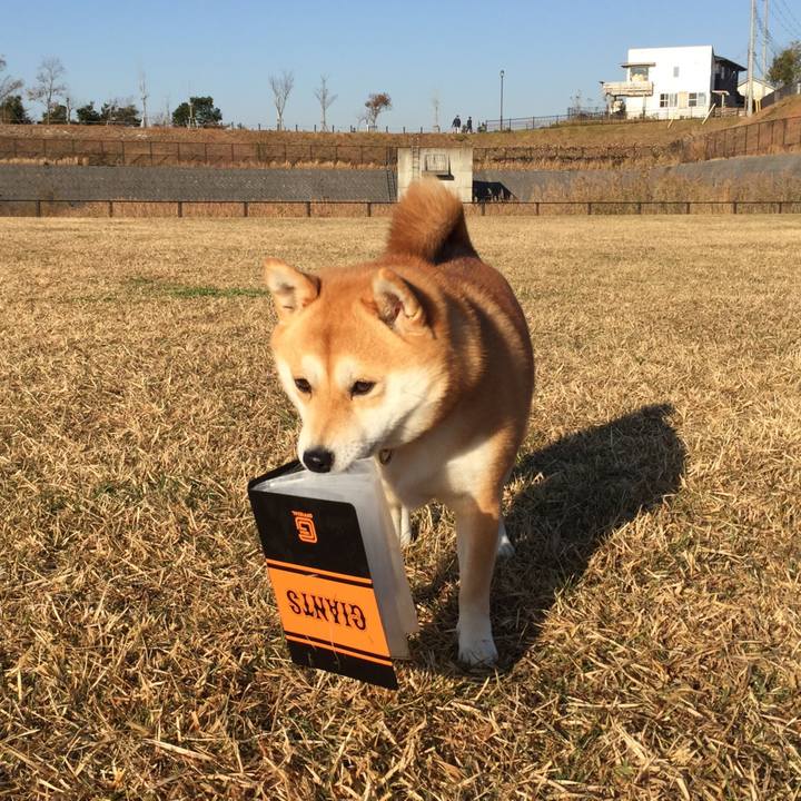 0bf10165 89ac 4ab8 9899 bb7a44177c0a