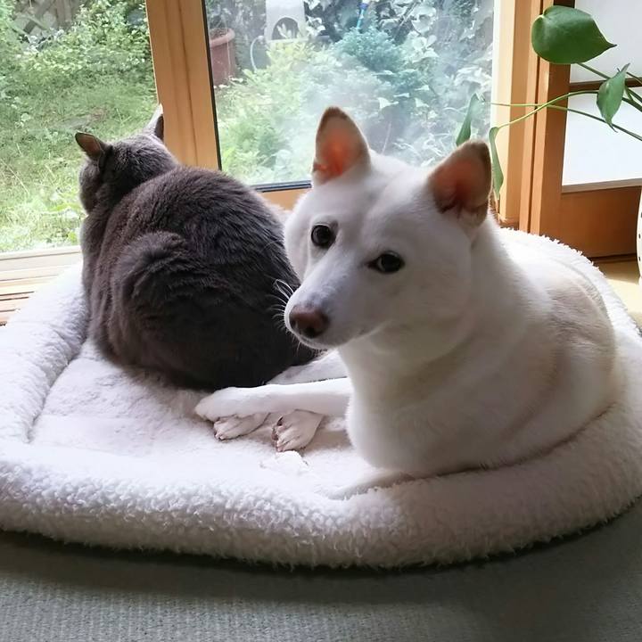 0bf14350 e0f8 4daa bc52 d522f15594ba