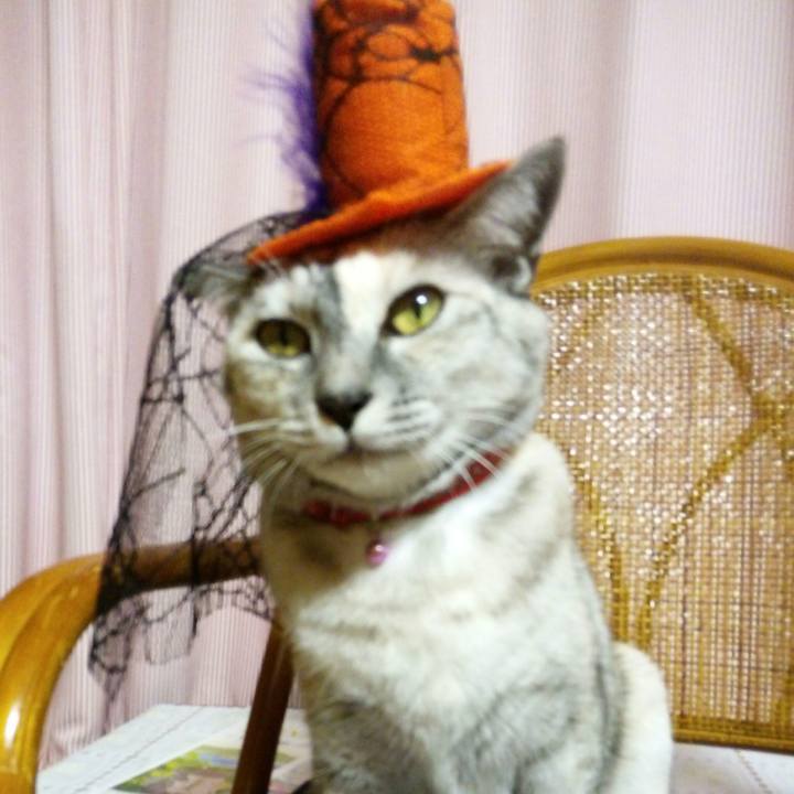 0bf14822 a953 45e1 9b42 726a1de09ab8