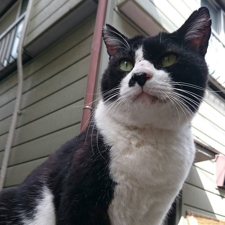 0bf15114 9c44 4a21 9132 70e94d29f474