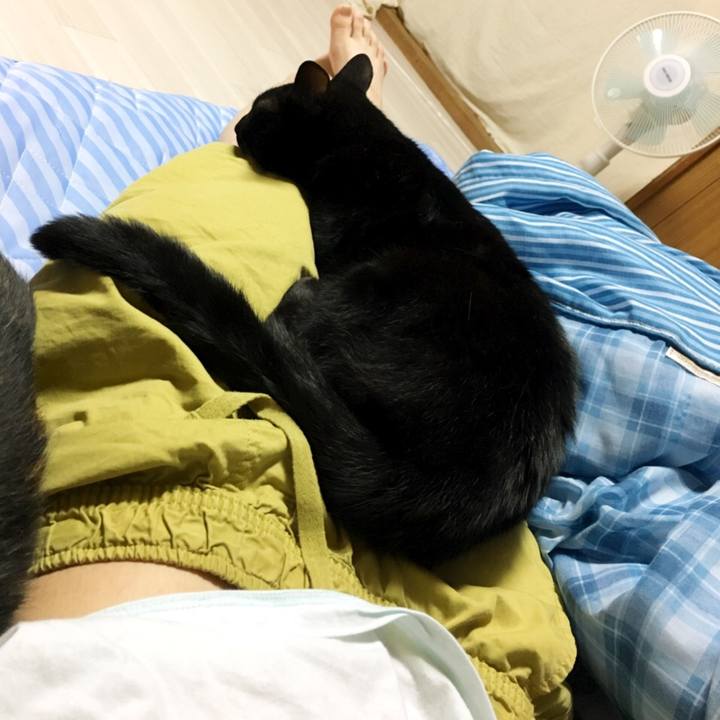 0bf16aff 61cb 4389 9588 ce4a6d8f9c44