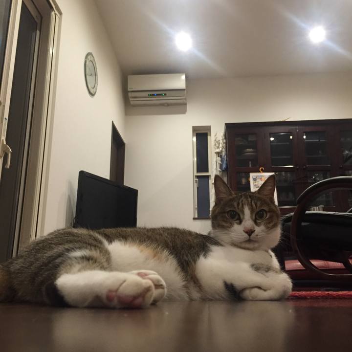 0bf27ba7 caa4 4b75 b966 425116cc0051