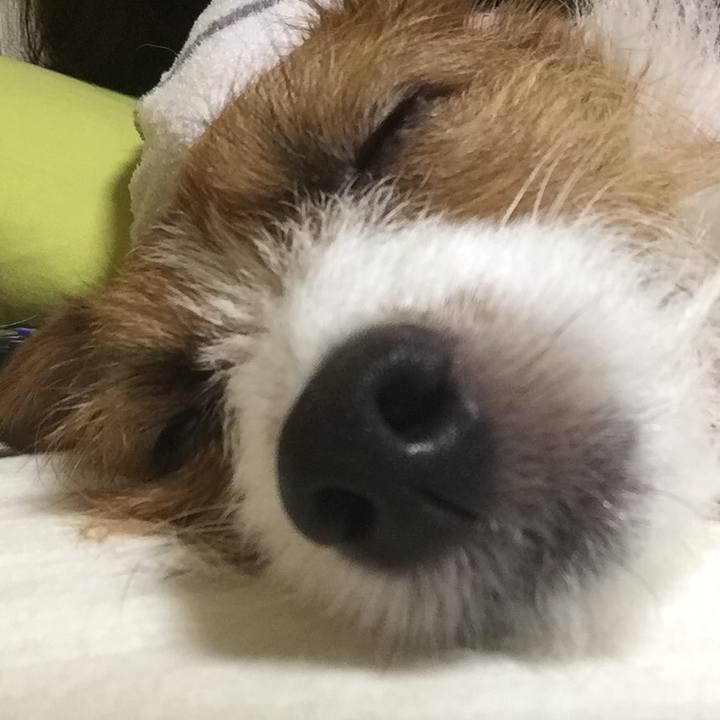 0bf2b727 53bc 4a41 ac04 c20912cdc1c3