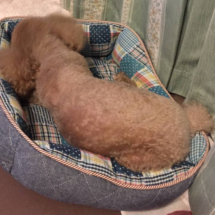 0bf2bfdf f2ad 4d3b 8e3f 651954d1d18b