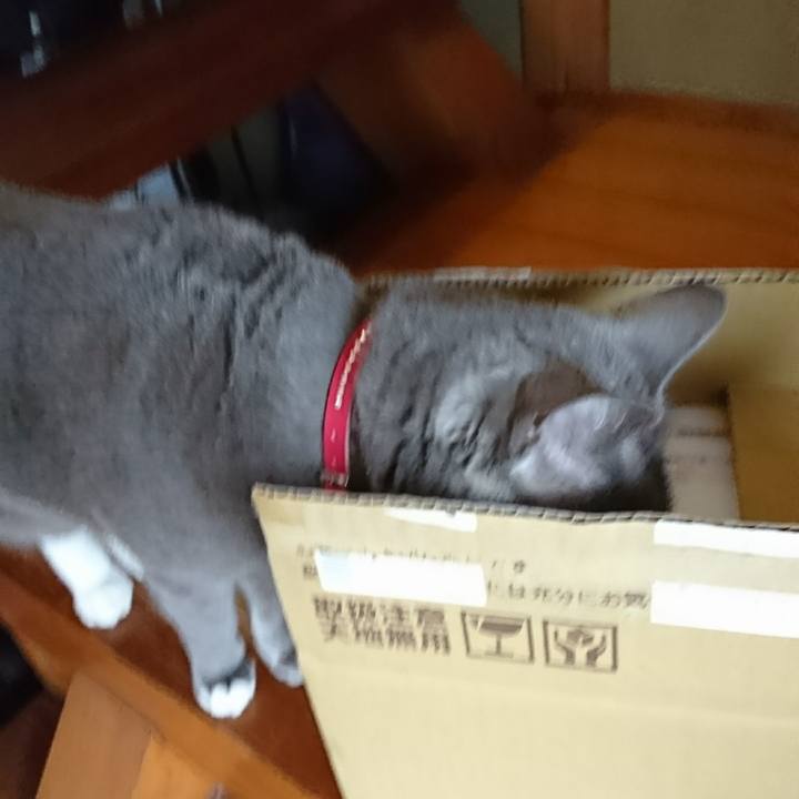 0bf2fb99 0e21 4db9 b0b5 7e4cf94c7145