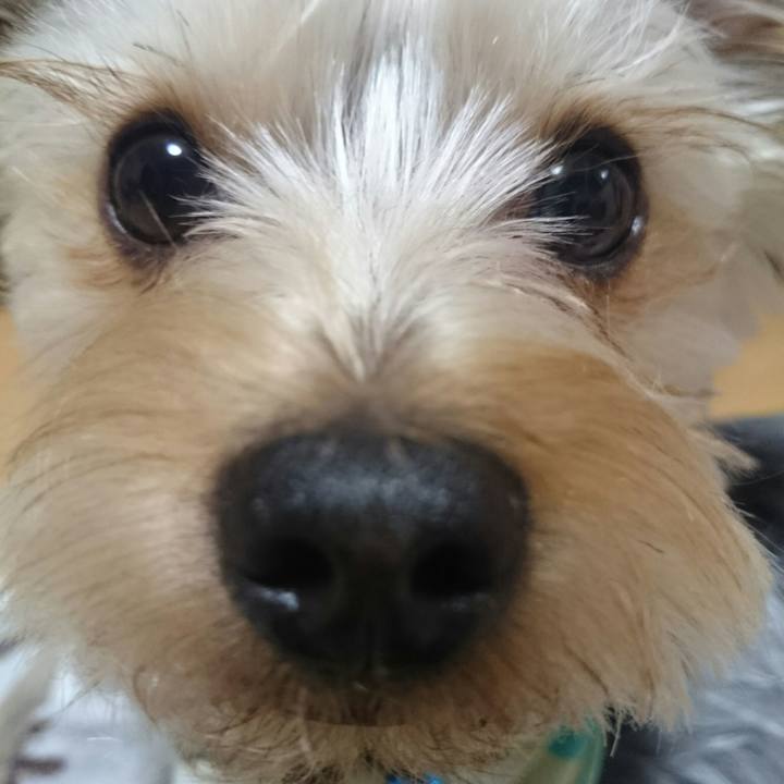 0bf319b9 4e25 4c01 b532 0971de44907b