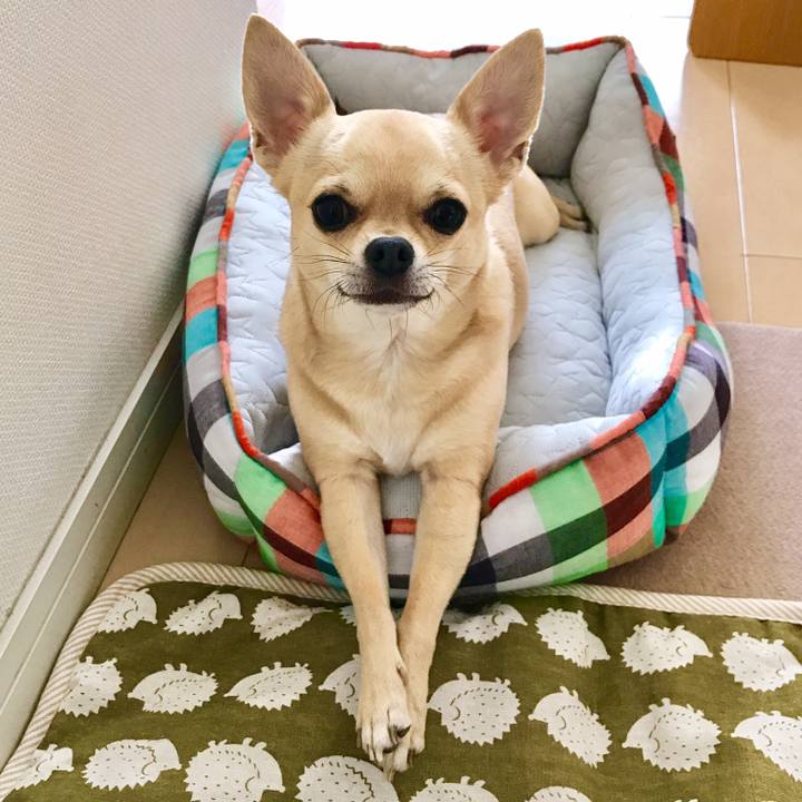 0bf33ef3 54ba 45f6 ac07 7b8c13ef5429